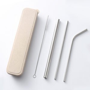 Reusable Stainless Steel Straws Set (304) | With Cleaning Brush & Travel Pouch